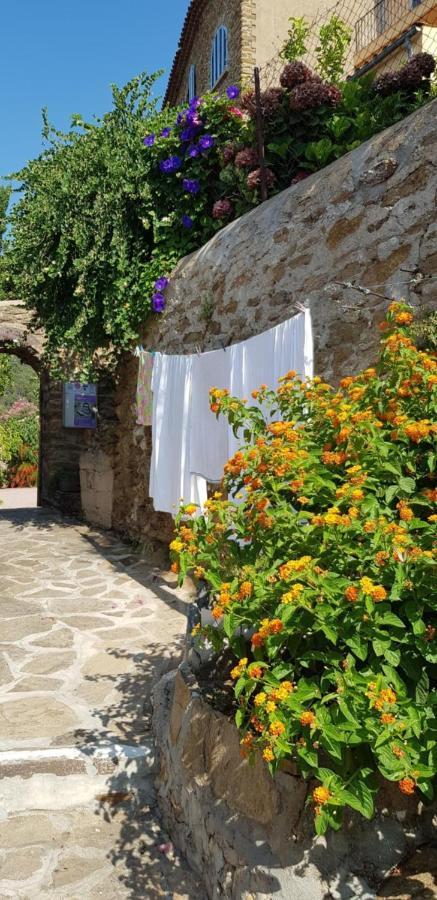 L'Odyssée Provençale: Charming Duplex with Medieval Village Views Bormes-les-Mimosas Exterior photo